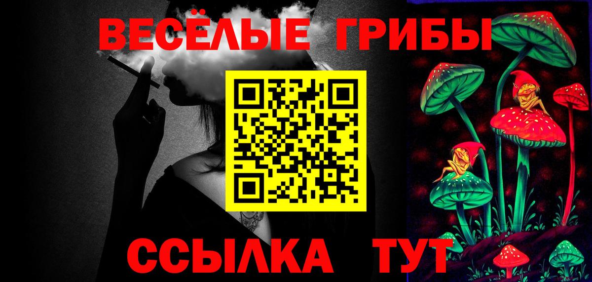 Галлюциногенные грибы мицелий  Всеволожск  Псилоцибиновые грибы GOLDEN TEACHER 